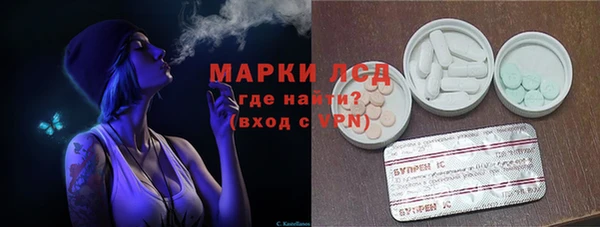 PSILOCYBIN Гусев