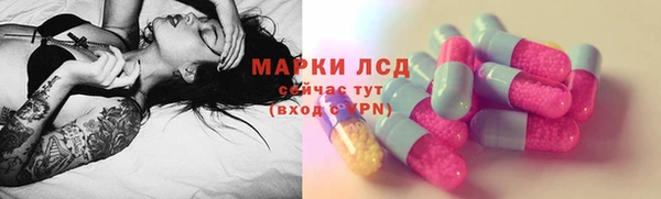 PSILOCYBIN Гусев