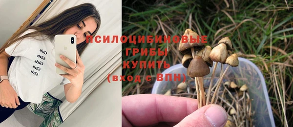 PSILOCYBIN Гусев