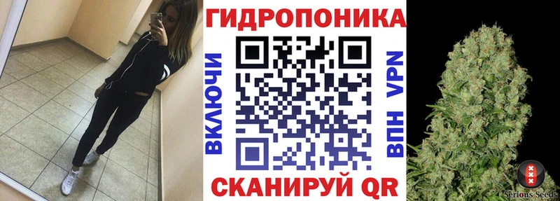 Бошки Шишки Amnesia  Москва 